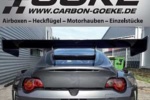 Goeke_Carbon_Content_AD