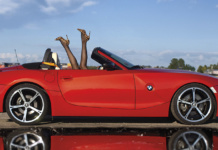 2008er BMW Z4 E85 3.0si